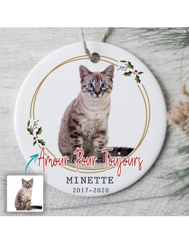 Amoureux des chats -  Ornement de Noël commémoratif personnalisé - 0109O040D sélection de produits