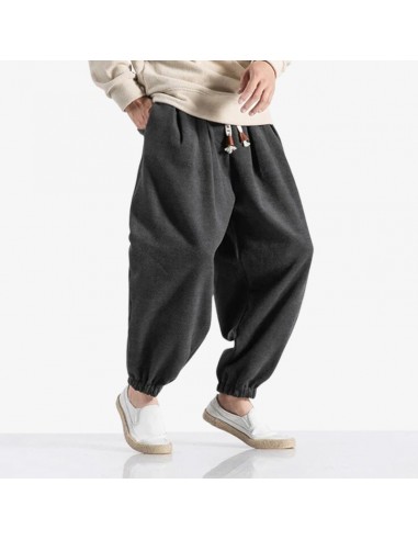 Pantalon Cargo Japonais plus qu'un jeu 