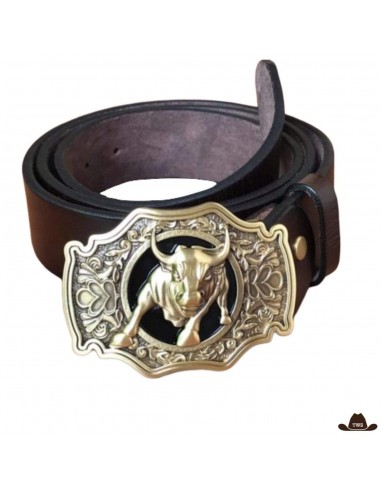 Ceinture Western Country Homme de France